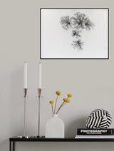 Winter trees Poster och Canvastavla