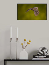 I See You Poster och Canvastavla