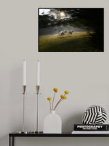 Under the tree Poster och Canvastavla