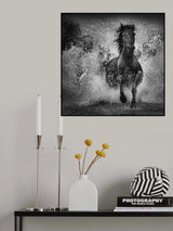 Prince of Dark Horse Poster och Canvastavla
