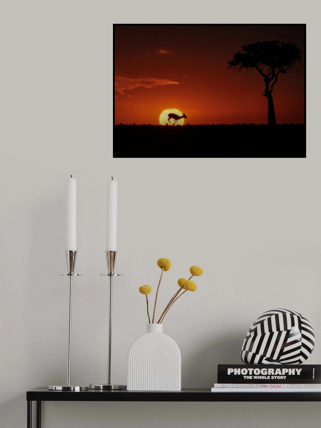 mara sunrise Poster och Canvastavla