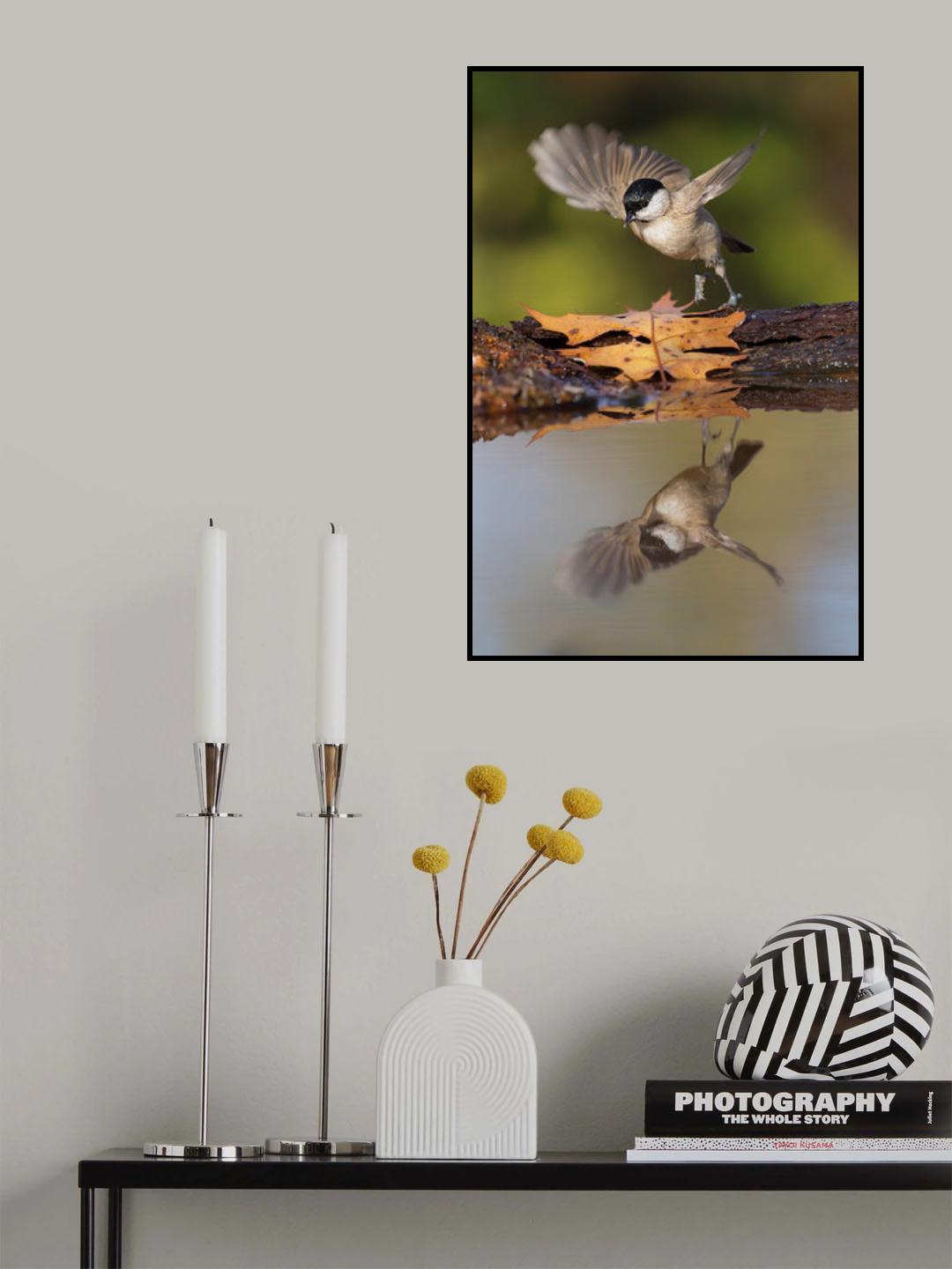 mirror Poster och Canvastavla