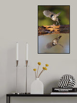 mirror Poster och Canvastavla