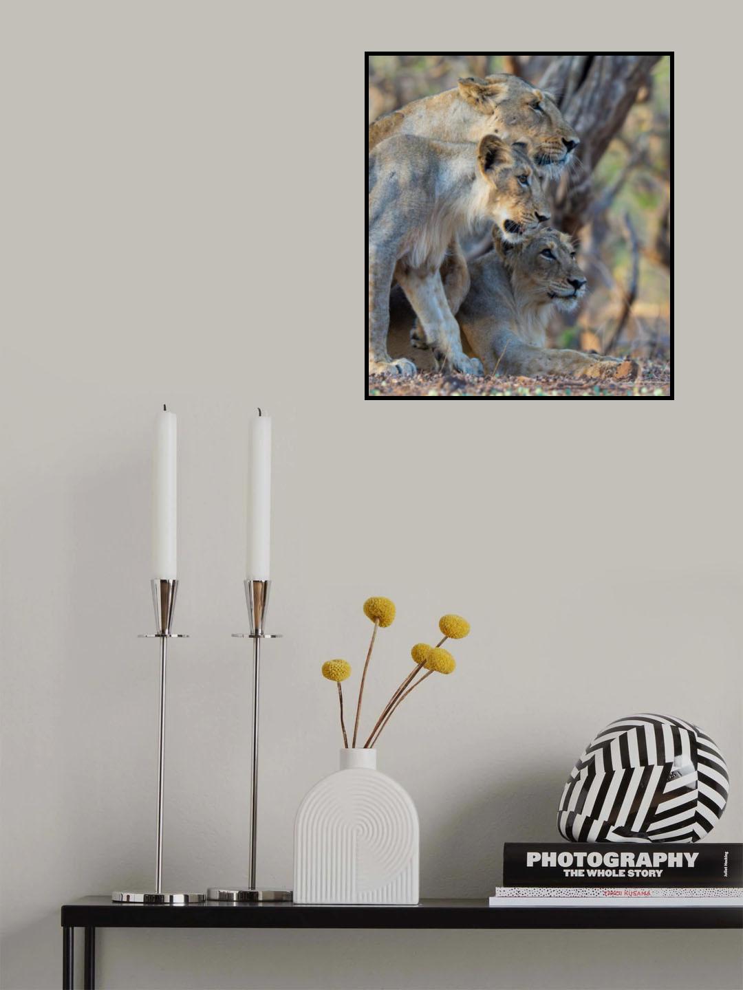 Three is company Poster och Canvastavla