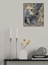 Three is company Poster och Canvastavla