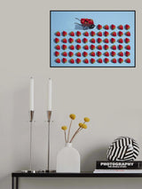 Fresas Poster och Canvastavla