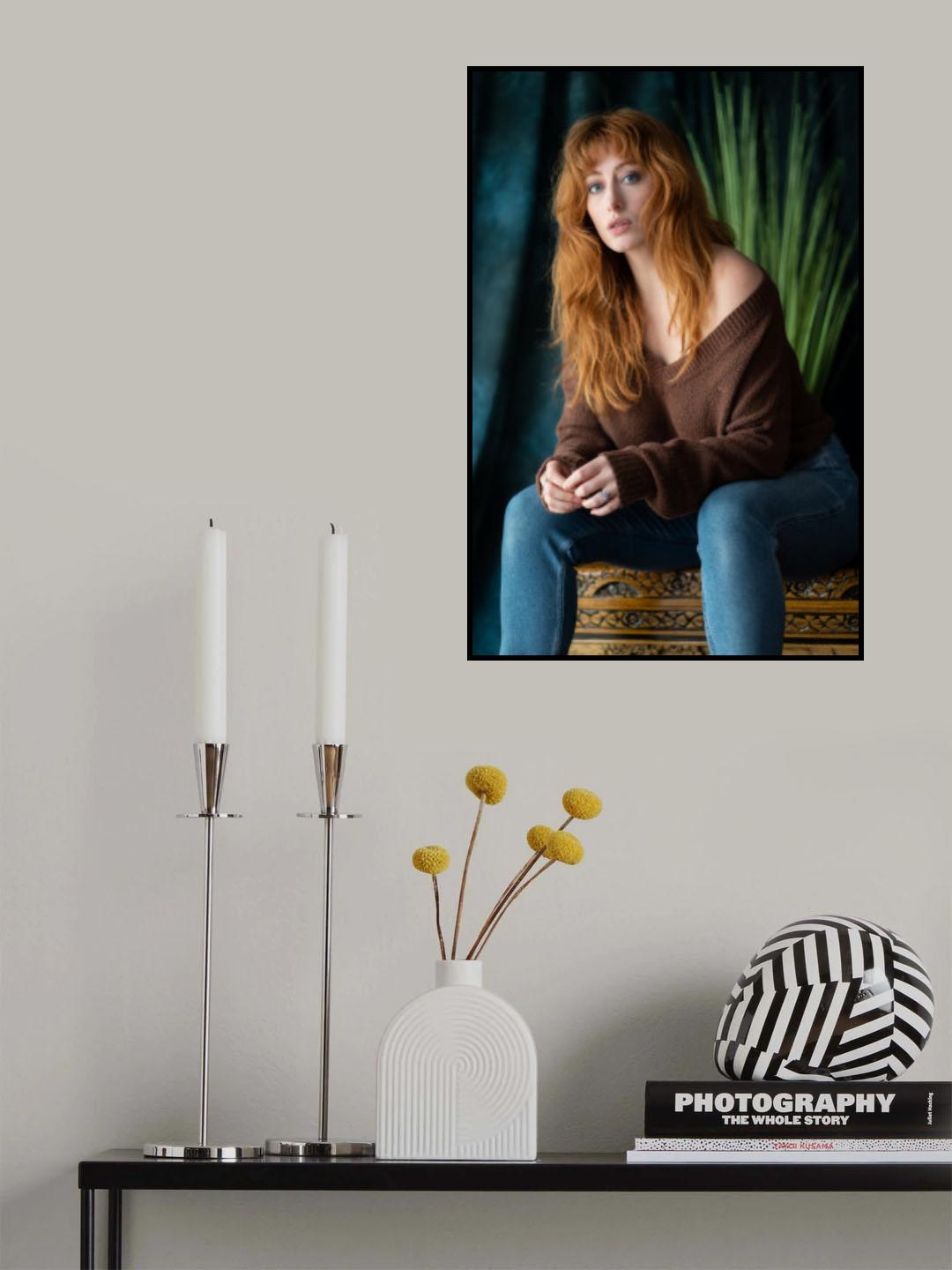 Sinopa 2 Poster och Canvastavla