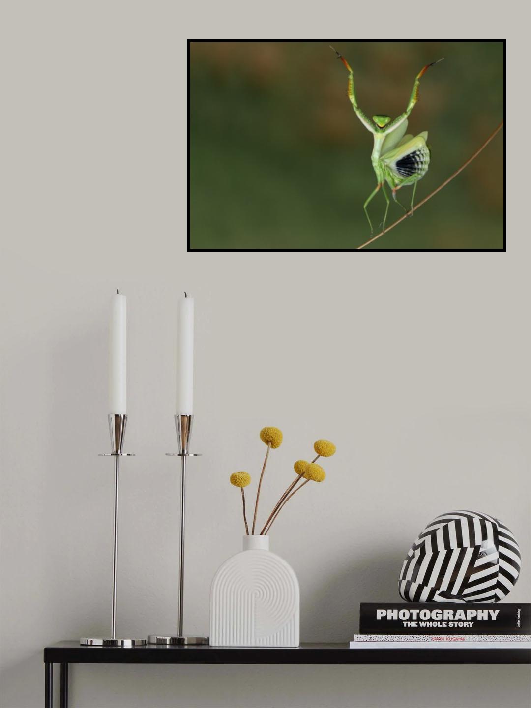 Are you gonna dance with me ? Poster och Canvastavla