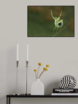 Are you gonna dance with me ? Poster och Canvastavla