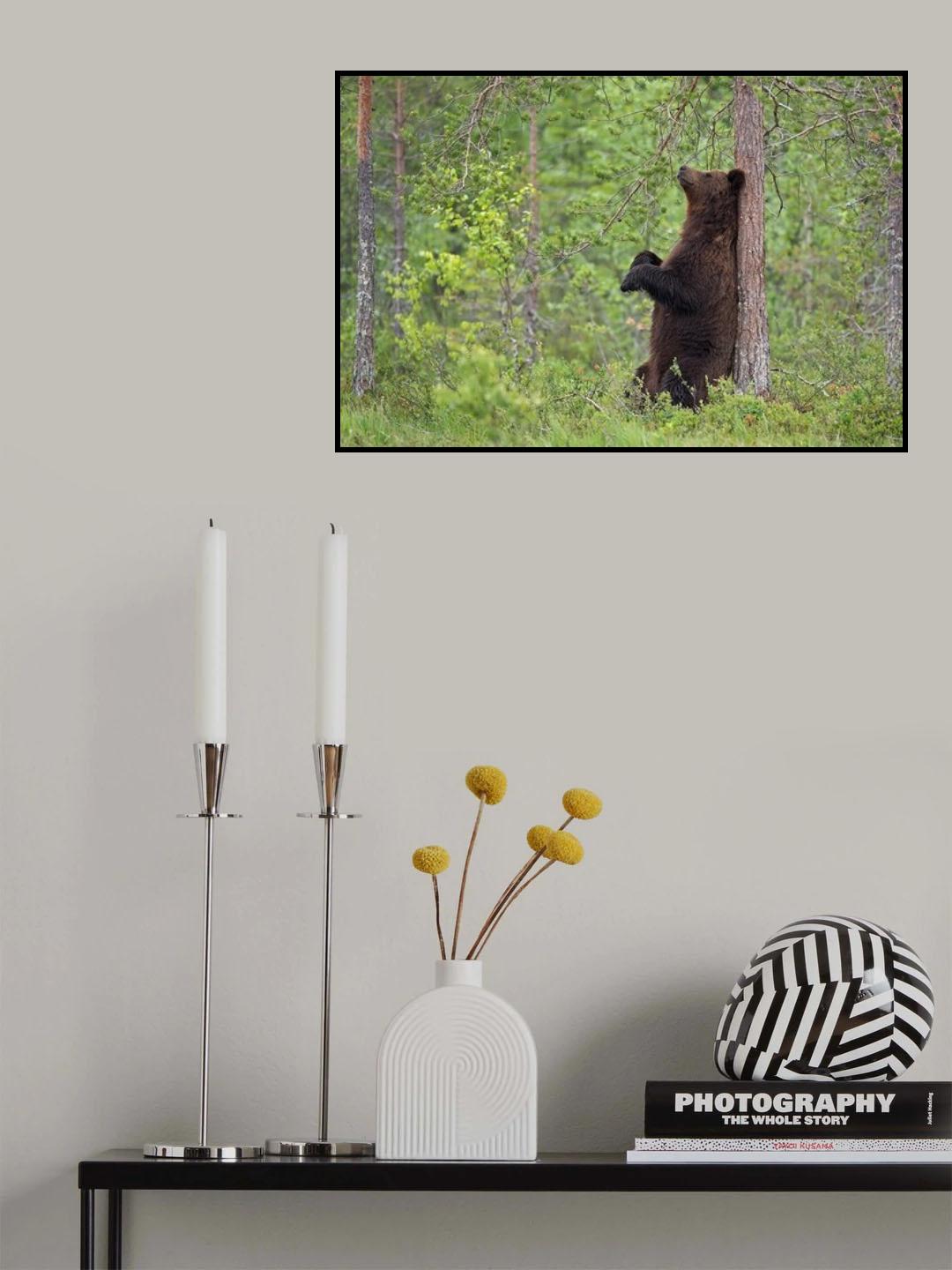 Relax in the forest Poster och Canvastavla