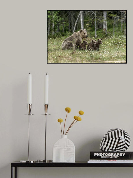 Family bears Poster och Canvastavla