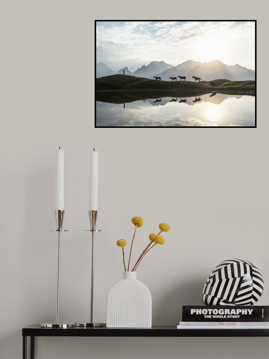 Horses Poster och Canvastavla