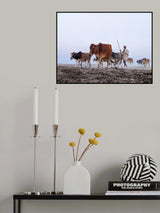 Home is where the Herd is Poster och Canvastavla
