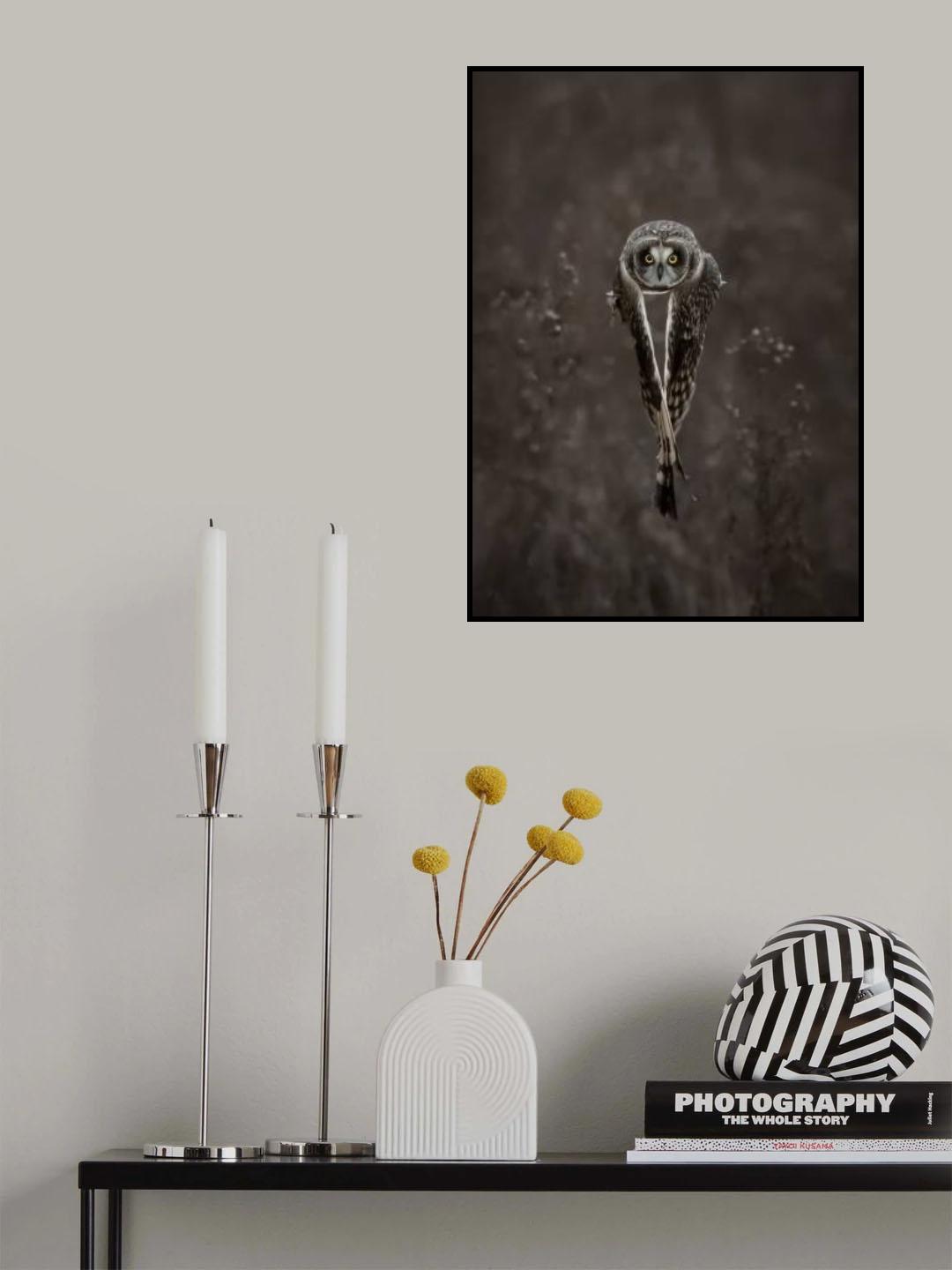 Flying Pose Poster och Canvastavla