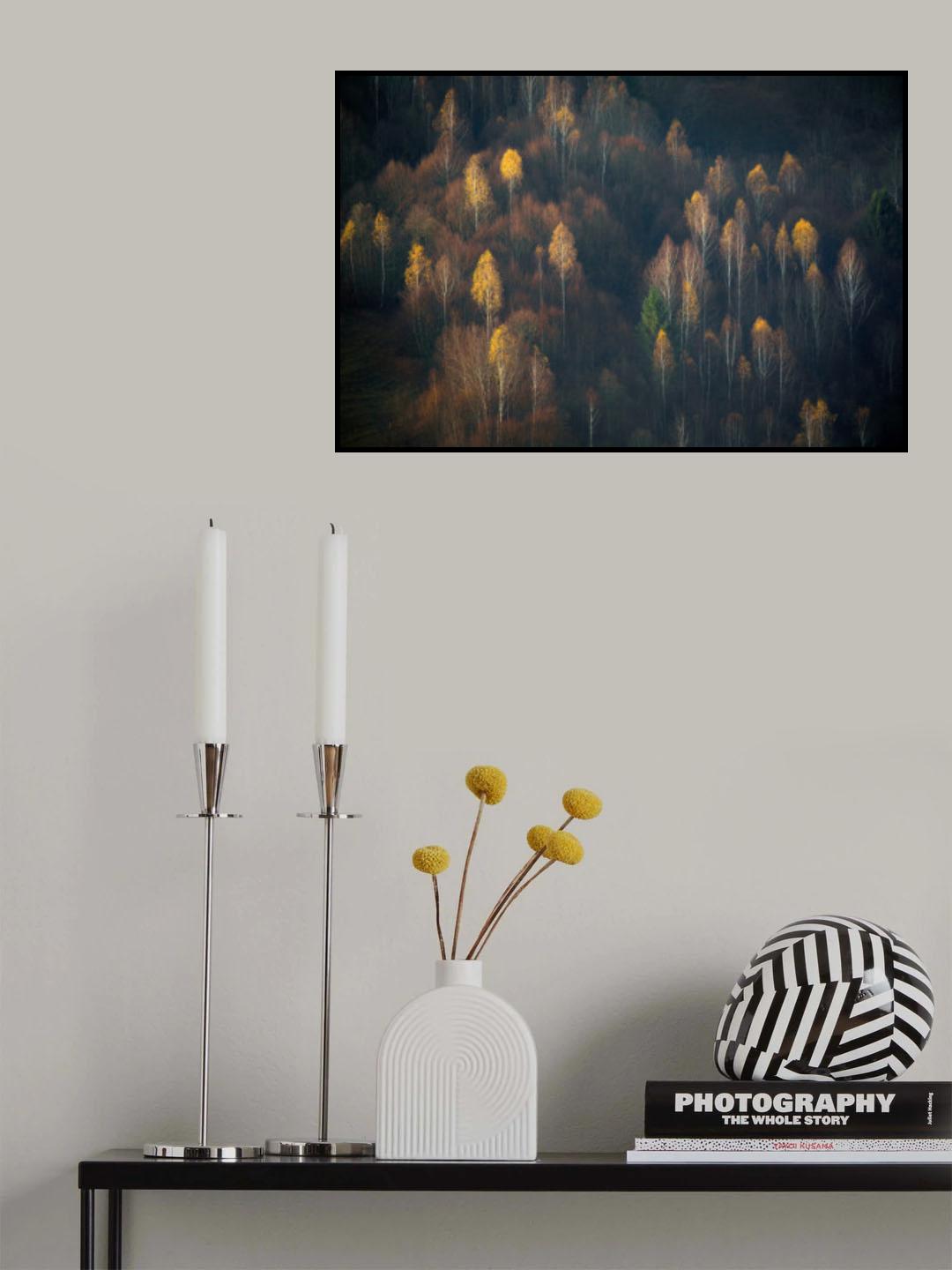 Late Autumn Poster och Canvastavla