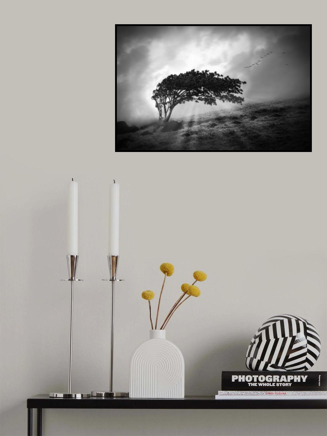Lone Tree Poster och Canvastavla
