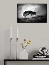 Lone Tree Poster och Canvastavla