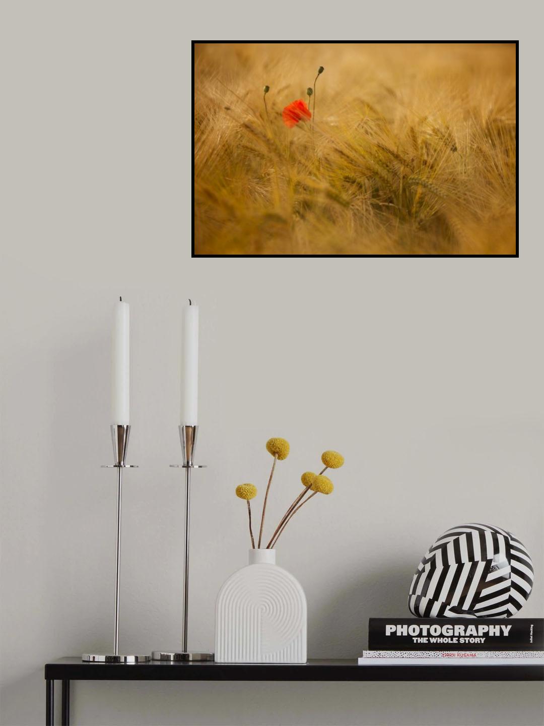 ephemeral Poster och Canvastavla