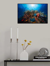 Apnea Poster och Canvastavla