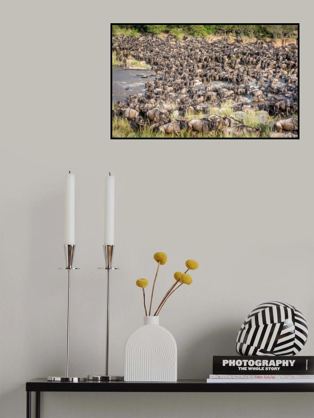 The amazing &quot;great migration&quot; Poster och Canvastavla