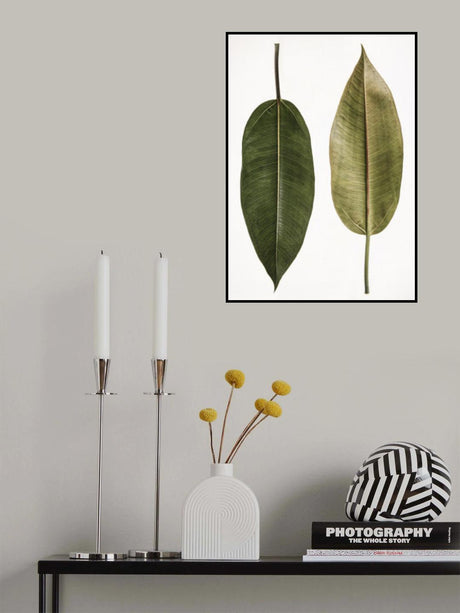 Leaf Study 05 Poster och Canvastavla
