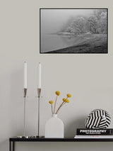 hoarfrost and fog Poster och Canvastavla