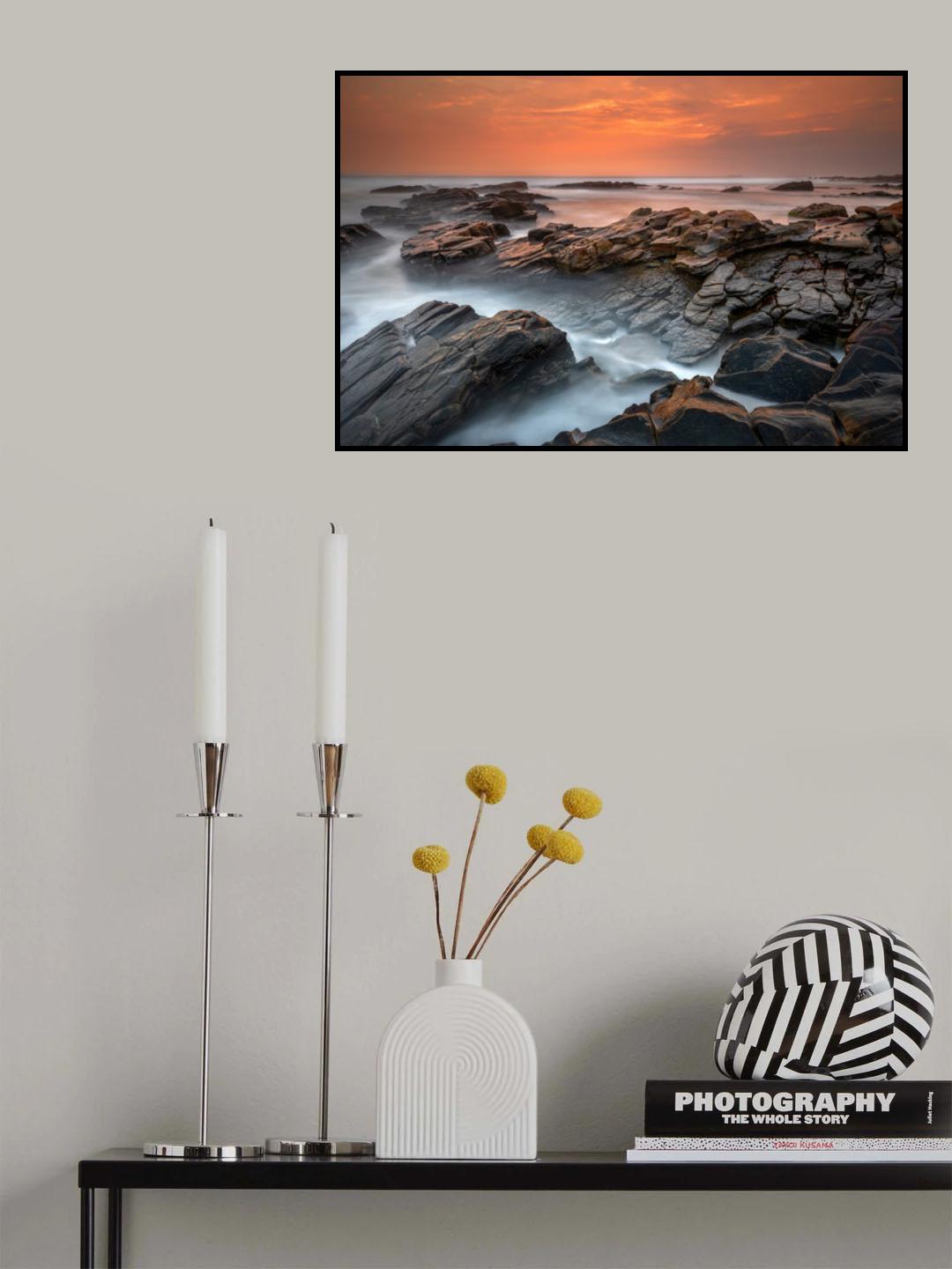 Dragon Back Poster och Canvastavla