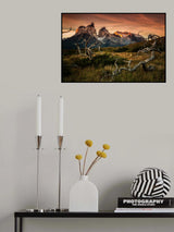 Torres Del Paine in sunrise Poster och Canvastavla