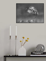 Ready to rest Poster och Canvastavla