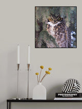 I Am Watching You Poster och Canvastavla