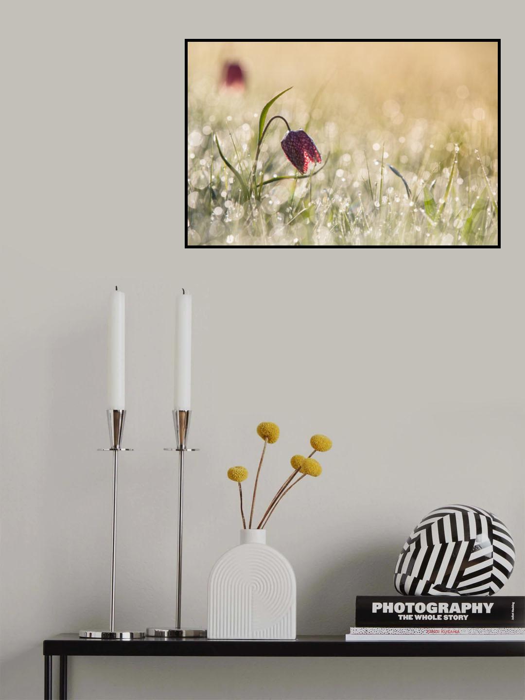Morningdew Poster och Canvastavla