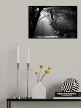 Light and Deer Poster och Canvastavla