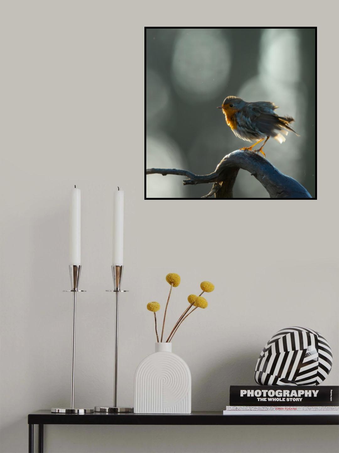 Away with the dust Poster och Canvastavla