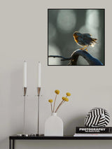 Away with the dust Poster och Canvastavla