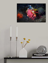 The Ugly Mother Poster och Canvastavla