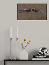 I want to fly Poster och Canvastavla