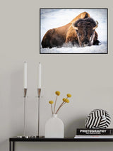 The King Poster och Canvastavla