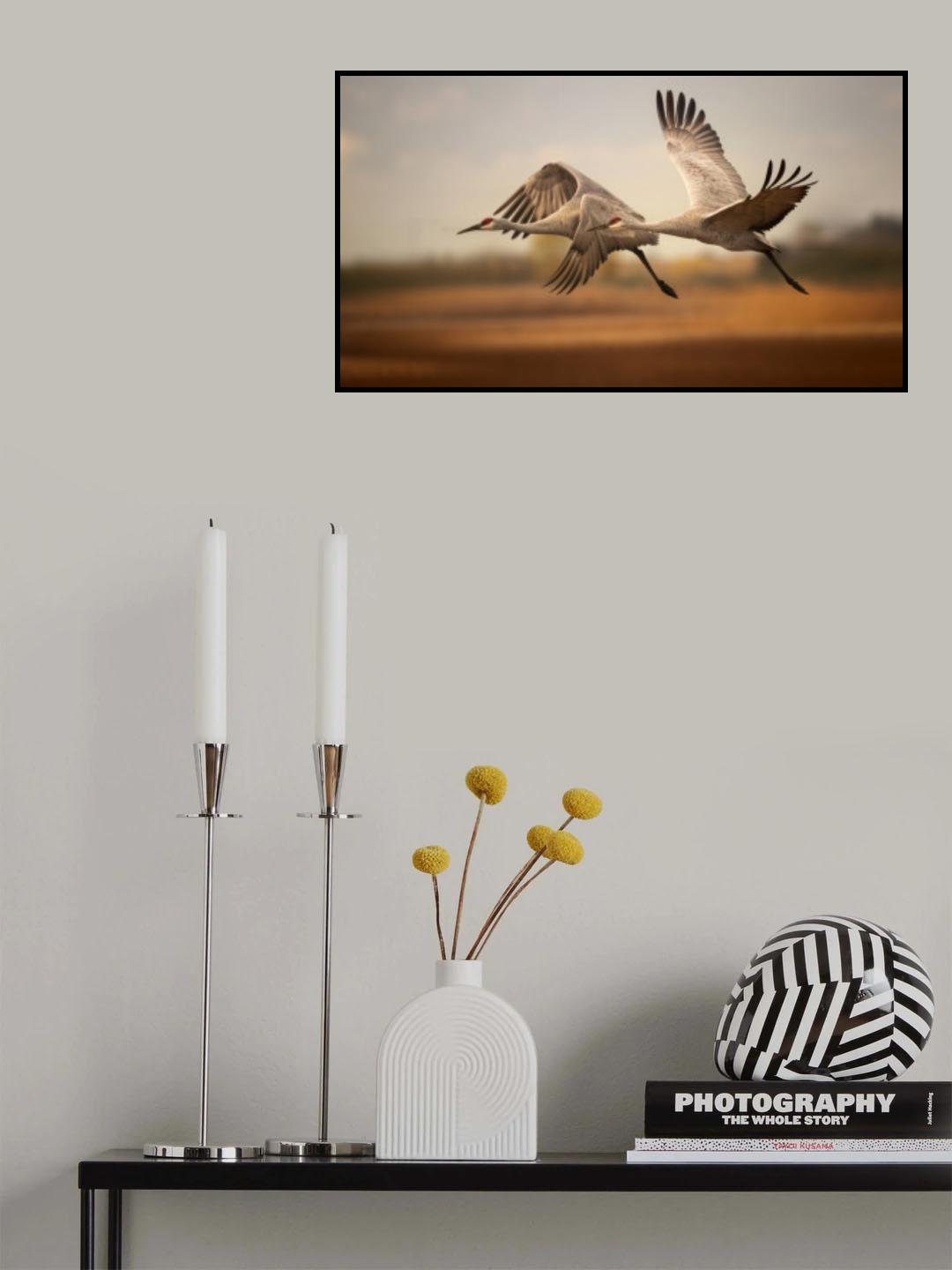Flying over Poster och Canvastavla