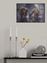 Friends Poster och Canvastavla