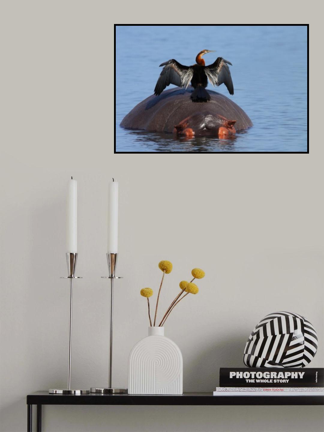 Darter Poster och Canvastavla