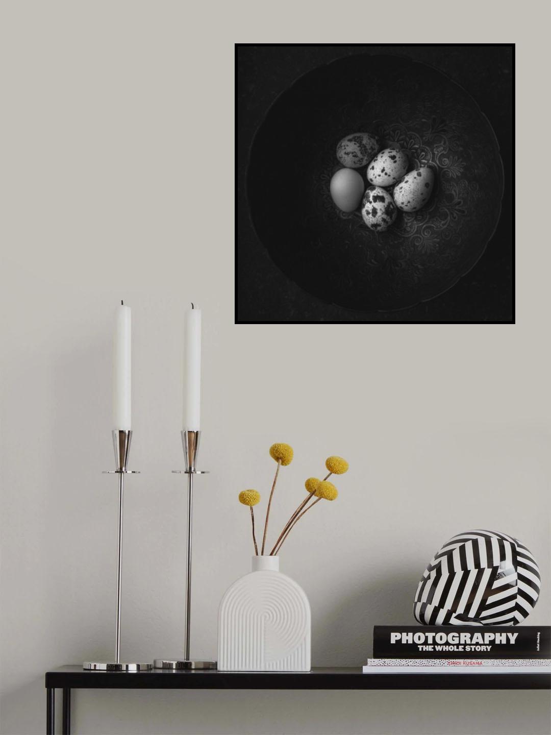 Five eggs Poster och Canvastavla