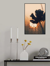 Before Sunset No 4 Poster och Canvastavla