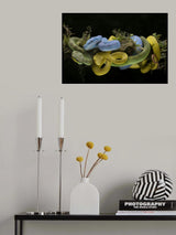 trio dangerous viper Poster och Canvastavla