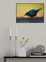 LUNCH IS SERVED Poster och Canvastavla
