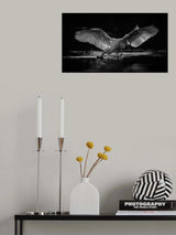 Catching Poster och Canvastavla