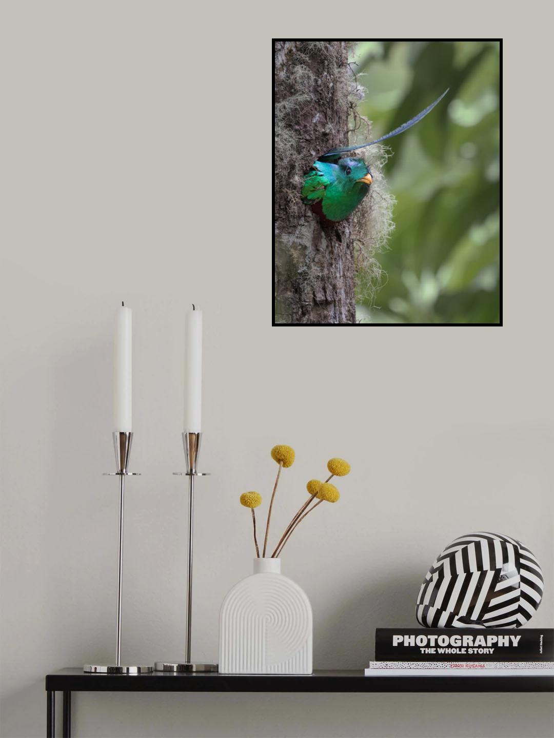 The nest is not deep enough. Poster och Canvastavla