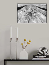The branch Poster och Canvastavla