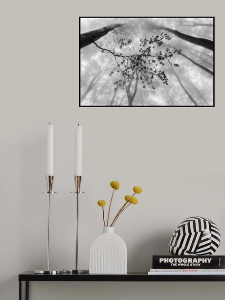 The branch Poster och Canvastavla