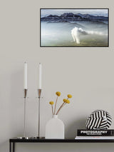 Misty Valley Poster och Canvastavla