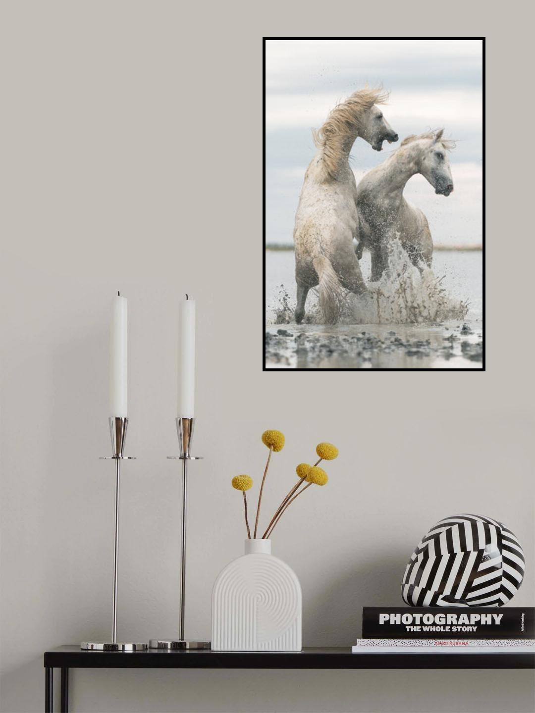 horses Poster och Canvastavla